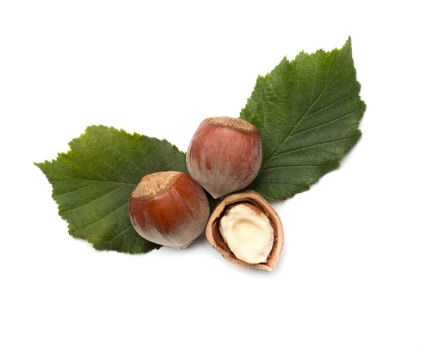 Hazelnuts Green Leaves Isolated White Background Top View — Stock Photo, Image