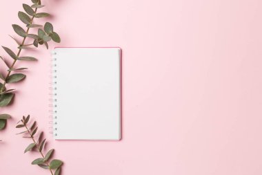 Notebook with beautiful eucalyptus branch on color background, top view.