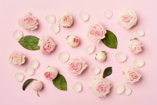 Flat Lay Rose Flowers Color Background Top View — стоковое фото