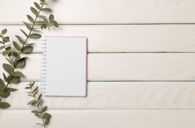 Tahta zemin üzerinde güzel okaliptüs dallı defter, üst manzara.