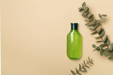 Renkli arka planda okaliptüs dallı kozmetik şişesi, üst görünüm.