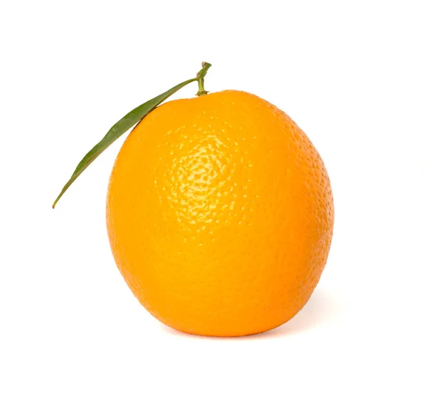 Оранжевый Белом Вид Сверху — стоковое фото