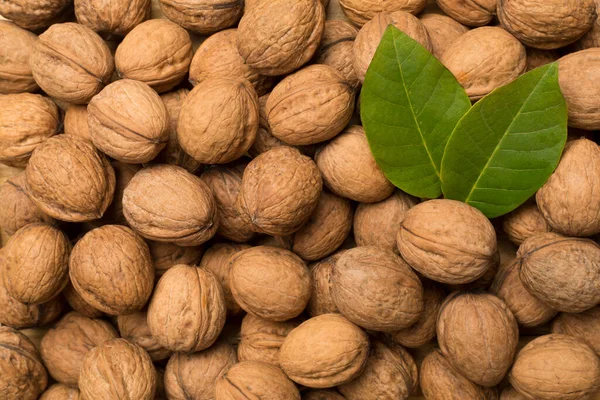 Walnuts Background Top View — Stock Photo, Image