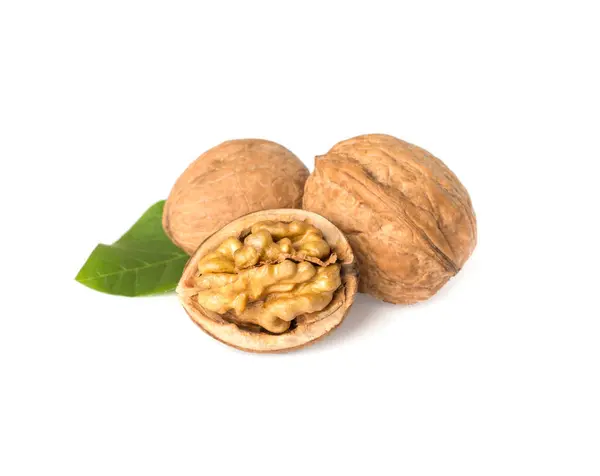 Walnuts Leaves Isolated White — Stock Photo, Image