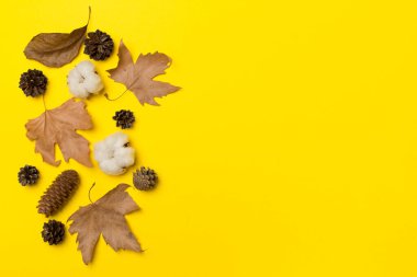 Flat lay composition with autumn leaves on color background, top view.