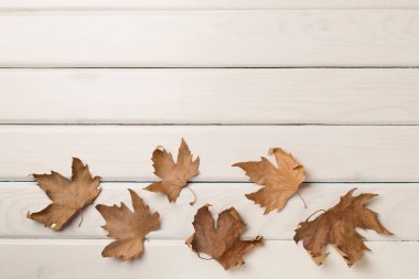 Flat lay composition with autumn leaves on wooden background, top view.