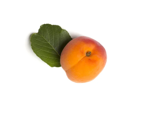 Ripe Apricot Leaves Isollated White Top View — Stock Photo, Image
