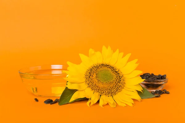 Sunflower Oil Flower Color Background — Stockfoto