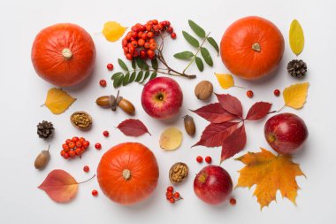 Balkabaklarıyla, böğürtlenleriyle ve yapraklarıyla bembeyaz bir sonbahar dairesi uzanır..