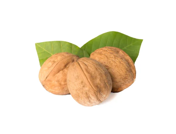 Walnuts Leaves Isolated White — Stock Photo, Image