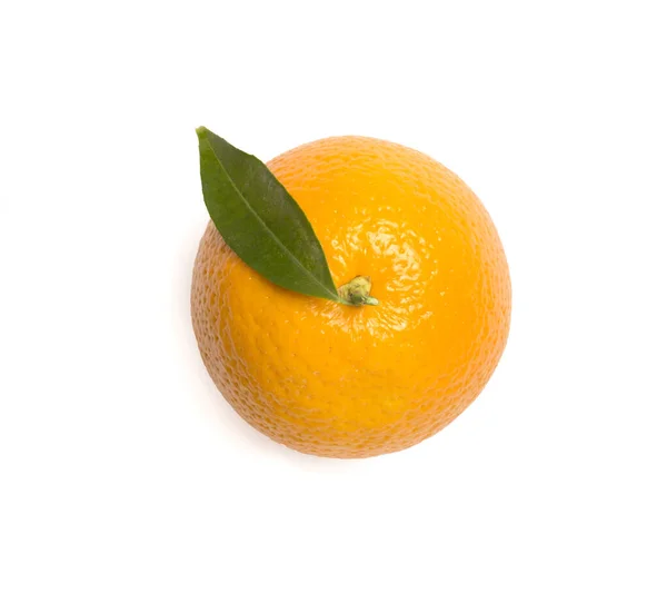 Оранжевый Белом Вид Сверху — стоковое фото