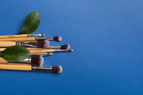 Natural Biodegradable Makeup Brushes Color Background Top View — Fotografia de Stock