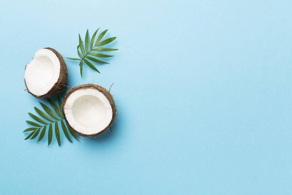 Coconut with leaves on color background, top view
