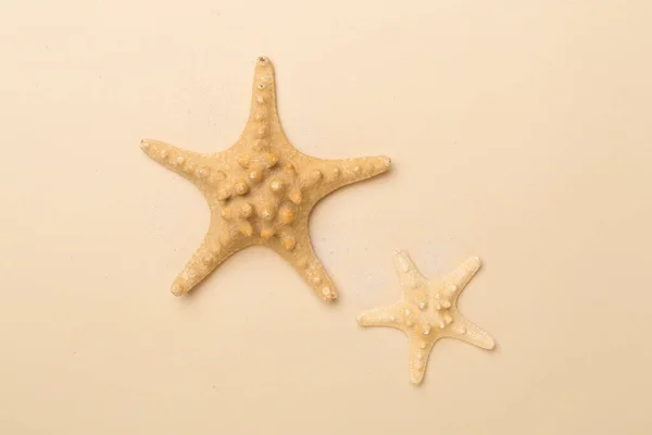 Starfishes Sobre Fondo Color Vista Superior — Foto de Stock