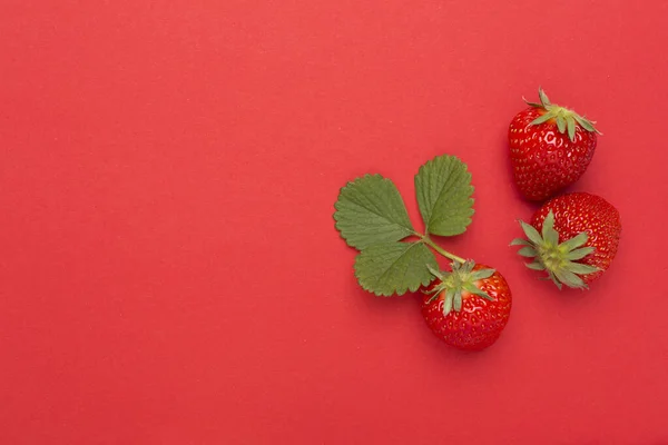 Aardbeien Met Bladeren Kleur Achtergrond Bovenaanzicht — Stockfoto