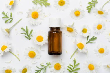 Şişe papatya çayı esaslı yağ ve beyaz arka planda çiçekler, üst manzara.