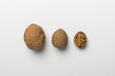 Beyaz arka planda farklı boyutlarda ceviz, üst görünüm.