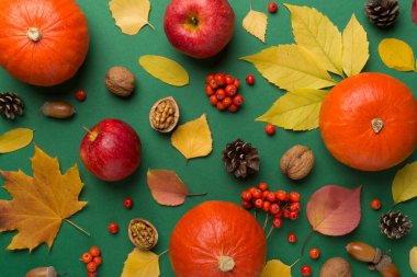 Şenlikli sonbahar dairesi balkabakları, böğürtlenler ve yapraklarla kaplıydı..