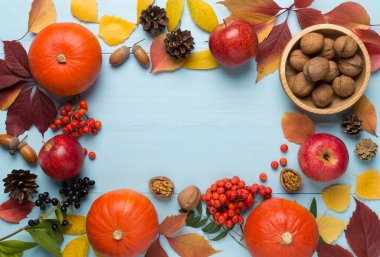 Balkabakları, böğürtlenler ve yapraklarla bezenmiş güzel bir sonbahar dairesi..