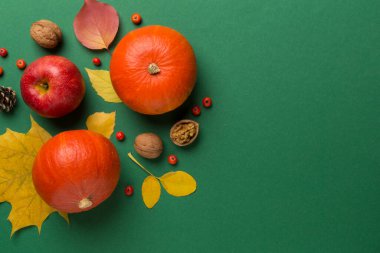 Şenlikli sonbahar dairesi balkabakları, böğürtlenler ve yapraklarla kaplıydı..