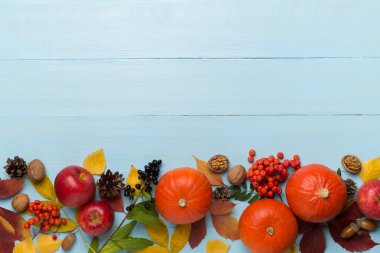 Balkabakları, böğürtlenler ve yapraklarla bezenmiş güzel bir sonbahar dairesi..