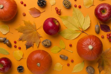 Şenlikli sonbahar dairesi balkabakları, böğürtlenler ve yapraklarla kaplıydı..