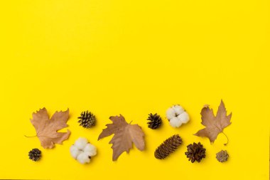 Flat lay composition with autumn leaves on color background, top view.