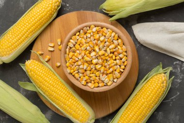 Beton arka planda taze koçanları olan kuru mısır, üst manzara.