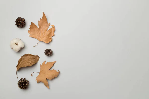 Flat Lay Composition Autumn Leaves Color Background Top View — Stock Photo, Image
