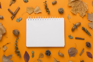Renk arkaplanı ve üst görünümü üzerinde defter bulunan sonbahar yaprakları