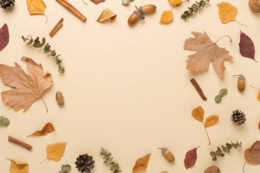 Sonbahar yaprakları renk arkaplan, üst görünüm dekoru ile