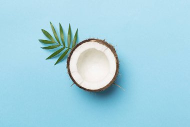 Renk arkaplanında yaprakları olan hindistan cevizi, üst görünüm