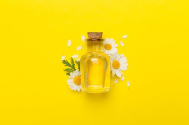 Şişe papatya çayı esaslı yağ ve çiçek rengi arka planda, üst görünüm