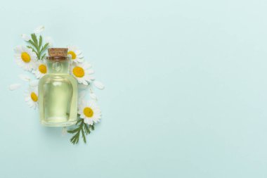 Şişe papatya çayı esaslı yağ ve çiçek rengi arka planda, üst görünüm