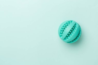 Blue ball toy for dogs on color background
