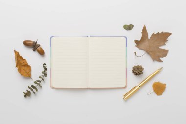 Renk arkaplanı ve üst görünümü üzerinde defter bulunan sonbahar yaprakları