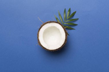 Renk arkaplanında yaprakları olan hindistan cevizi, üst görünüm