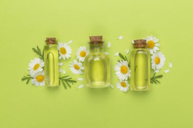 İçinde papatya çayı bulunan şişeler esaslı yağ ve renk arka planında çiçekler, üst görünüm