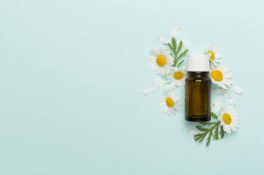 Şişe papatya çayı esaslı yağ ve çiçek rengi arka planda, üst görünüm