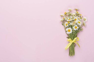 Renkli arka planda küçük bir buket papatya çiçeği, üst manzara.