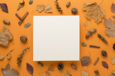 Renk arkaplanında sonbahar yaprakları olan tebrik kartı modeli, üst görünüm