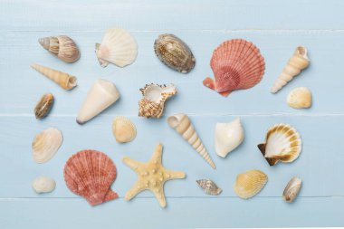 Ahşap zemin üzerinde deniz kabukları, üst görünüm