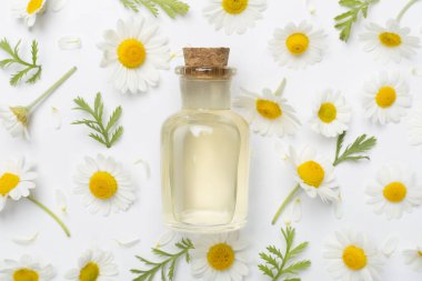 Şişe papatya çayı esaslı yağ ve beyaz arka planda çiçekler, üst manzara.