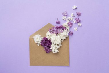 Renk arkaplanında leylak çiçekleri olan zarf, üst görünüm