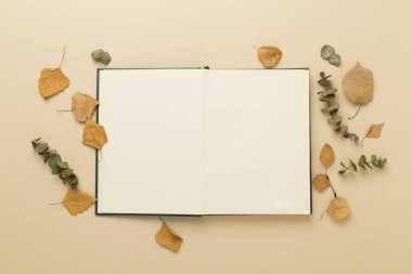 Beton zemin üzerinde defter ile sonbahar yaprakları, üst görünüm