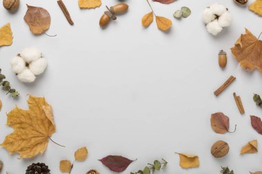 Sonbahar yaprakları renk arkaplan, üst görünüm dekoru ile