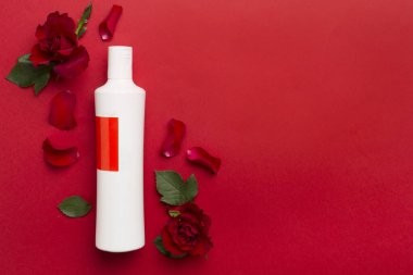 Cosmetic bottle and red roses on color background, top view