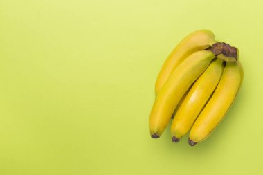 Renkli arka planda taze muzlar, üst görünüm