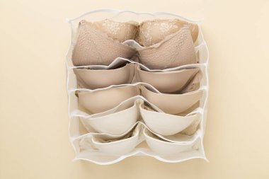 Renk arkaplanı, üst görünüm iç çamaşırı düzenleyicisi