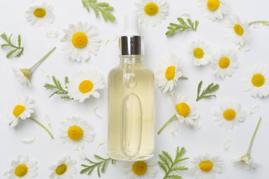 Şişe papatya çayı esaslı yağ ve beyaz arka planda çiçekler, üst manzara.